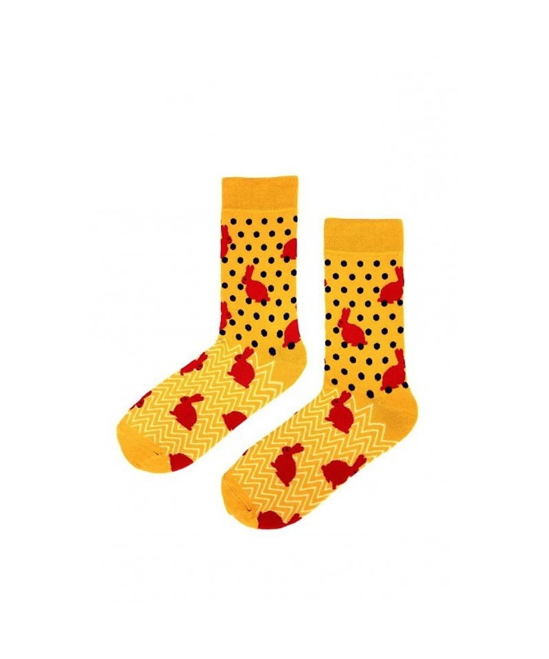 E-shop Regina Socks 7844 Avangarda Pánské ponožky